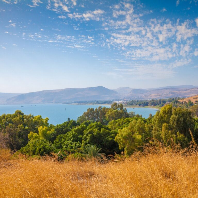 IMG-20241208-WA0163